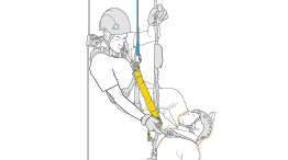 Release and rescue of a victim on a fall arrest system, by two co-workers