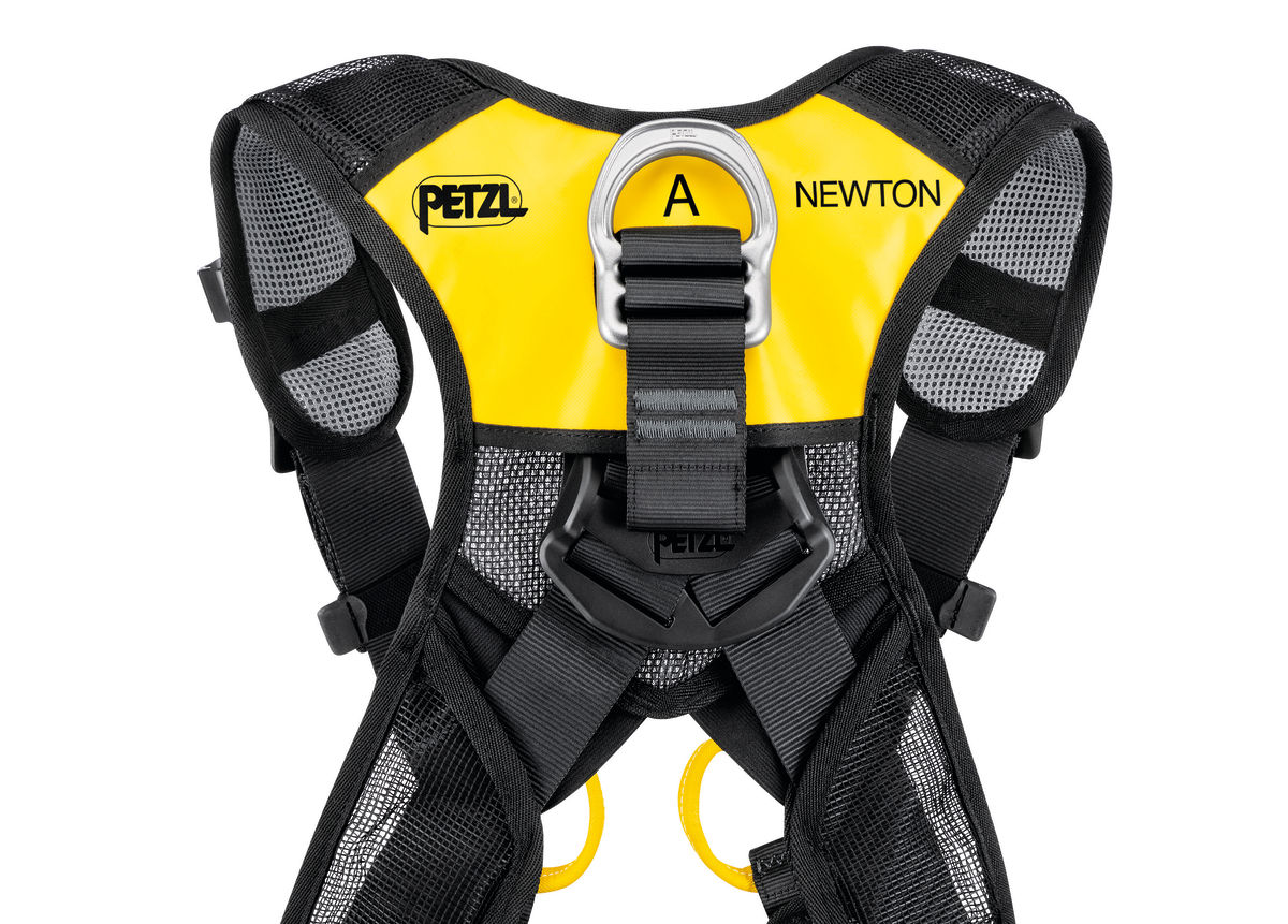 NEWTON EASYFIT versión internacional