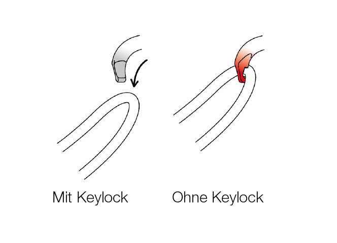 Karabinerhaken von Petzl, Keylock-System.