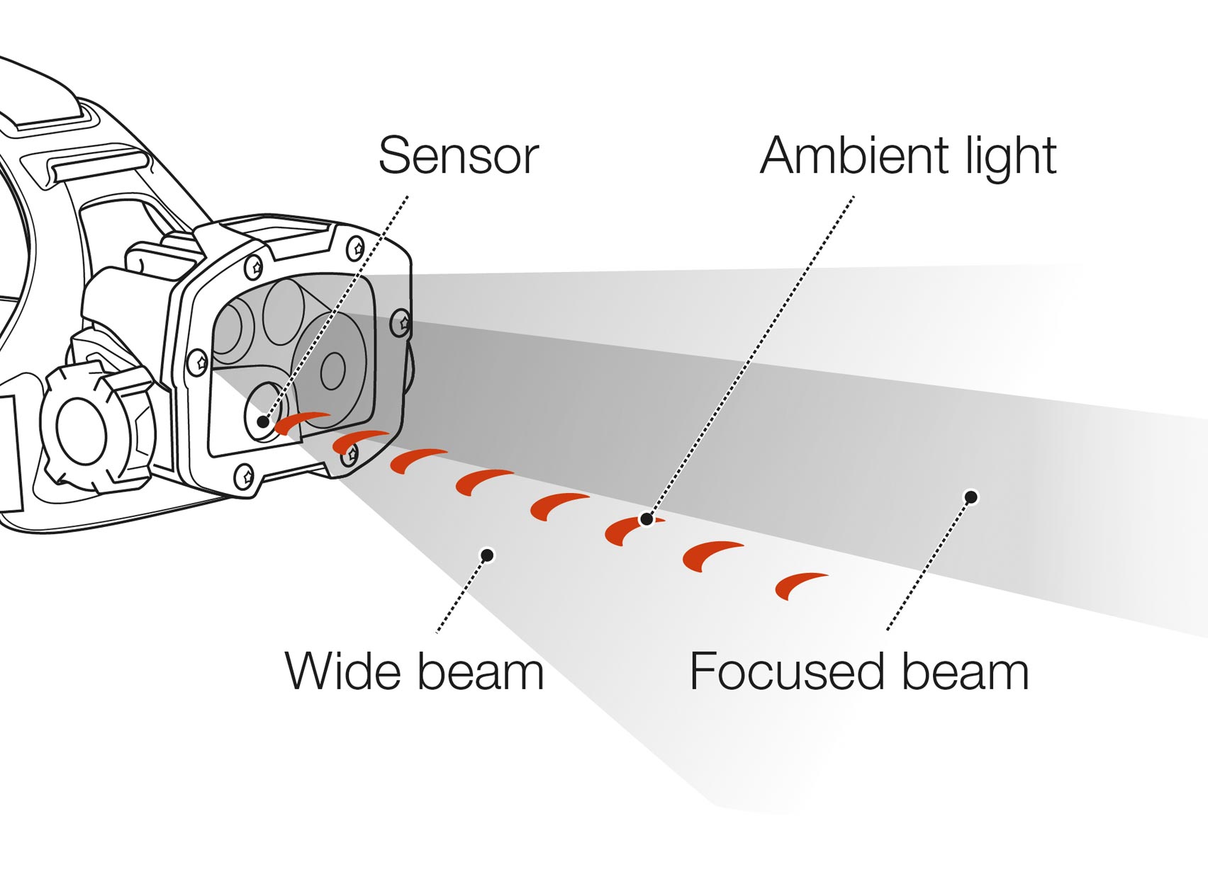 REACTIVE LIGHTING®, interchangeabilité.