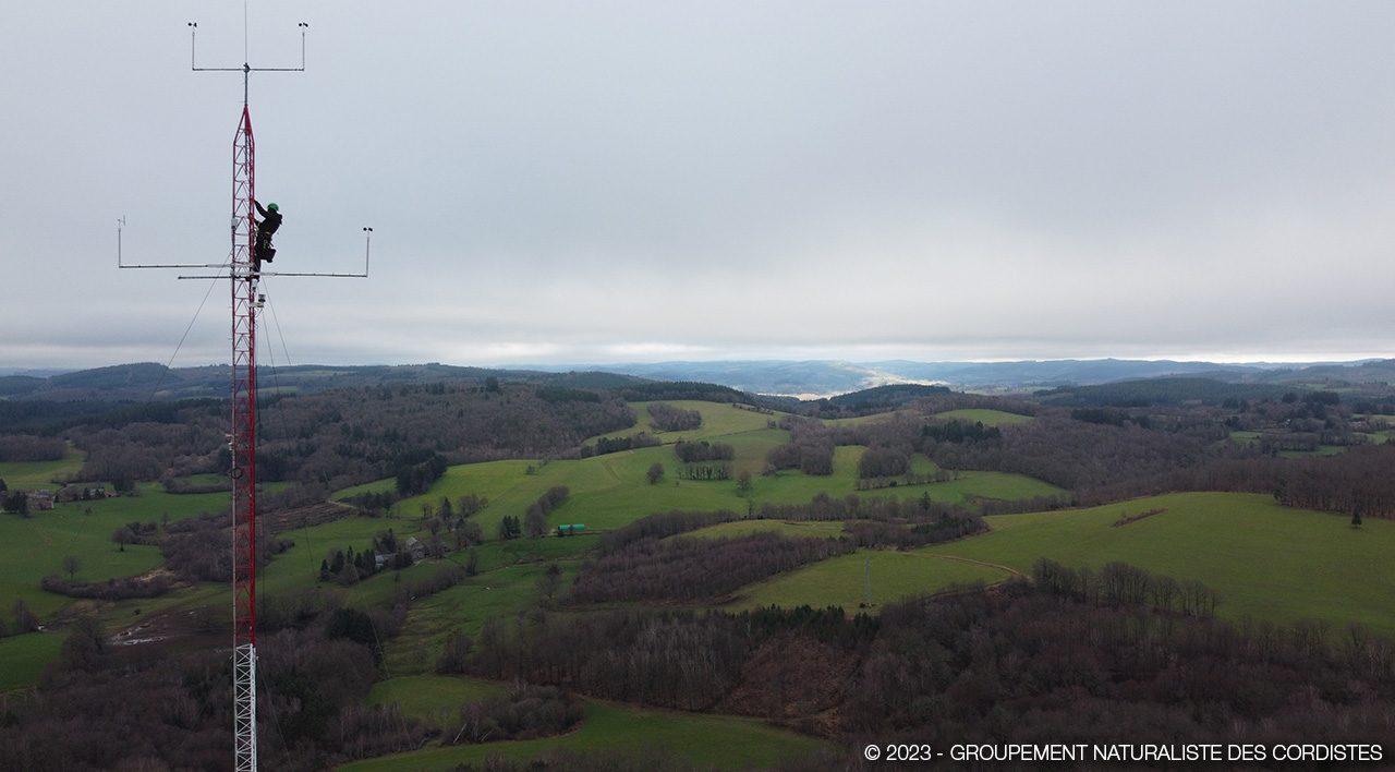  © 2023 - GROUPEMENT NATURALISTE DES CORDISTES 