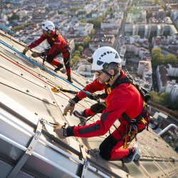 Framing and roofing