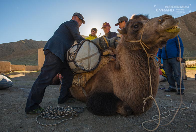 China Jam © Evrard Wendenbaum