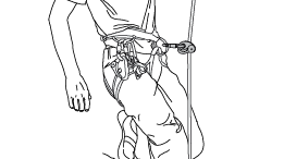 Appendix 5: Analysis of solutions observed in the field - Use of a single ascender with knots in the rope.