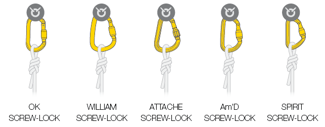 Choice of carabiners for attaching the rope to the anchor - Petzl